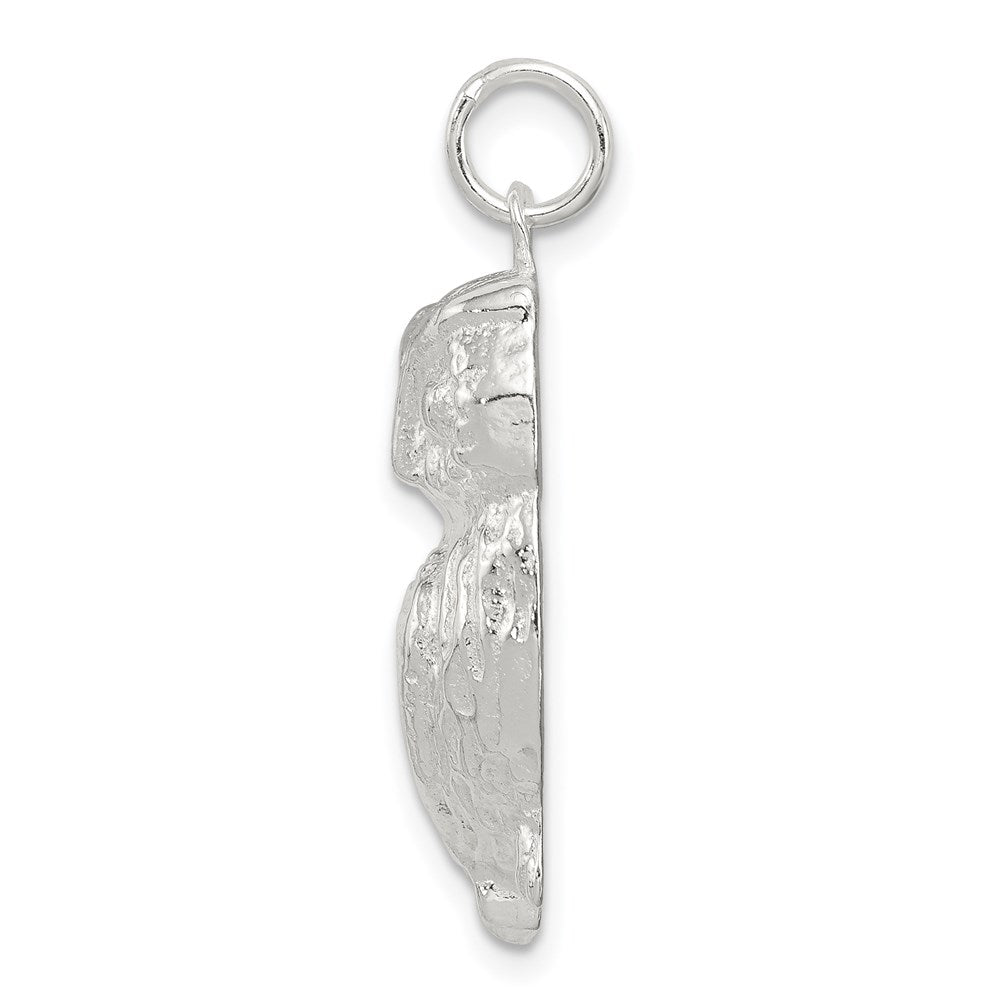 Sterling Silver Owl Charm - Product Photo