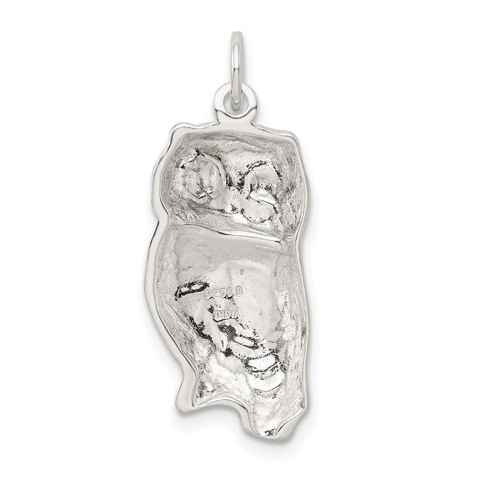 Sterling Silver Owl Charm - Product Photo