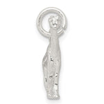 Sterling Silver Giraffe Charm - Product Photo