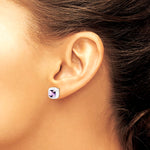 Sterling Silver Rhodium Plated Amethyst and Diamond Post Earrings - Product Photo
