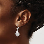 Sterling Silver Polished Lions Paw Shell Leverback Earrings - Product Photo