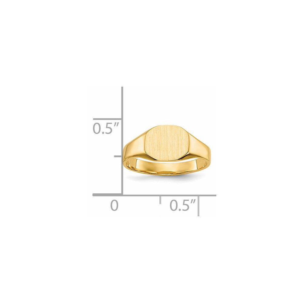 14k  8.0x6.25mm Closed Back Signet Ring - Product Photo
