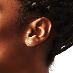 14K Yellow Gold CZ Double Post with Chain Starfish Earring - Product Photo