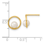14K Madi K Open Circle 5mm Freshwater Cultured Pearl Post Earrings - Product Photo