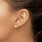 14K Madi K Polished 3.5mm Freshwater Cultured Pearl Post Earrings - Product Photo