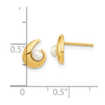 14K Madi K Polished 3.5mm Freshwater Cultured Pearl Post Earrings - Product Photo