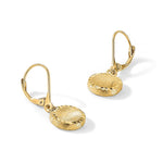 14k Brushed and Polished Diamond-cut Circle Leverback Earrings - Product Photo