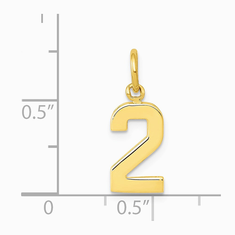 10K / 14K Yellow Gold Small Polished Number 2 Charm - Product Photo