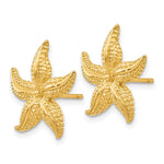 14k Starfish Post Earrings - Product Photo