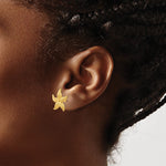 14k Starfish Post Earrings - Product Photo