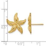 14k Starfish Post Earrings - Product Photo
