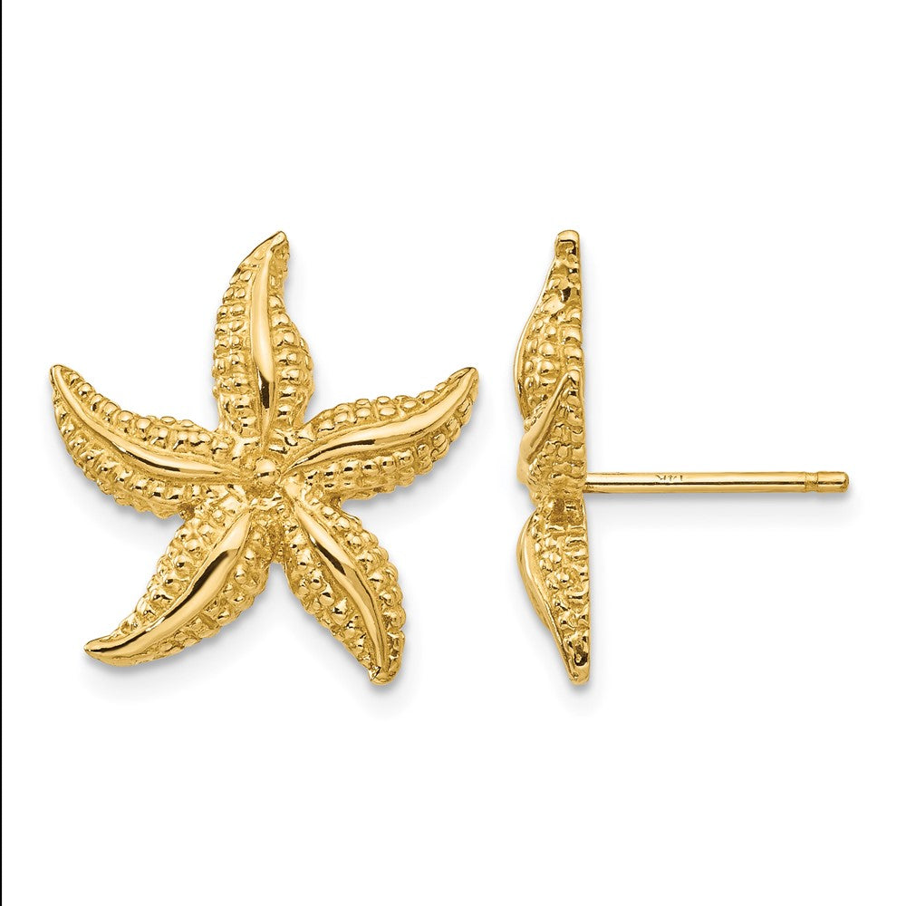 14k Starfish Post Earrings - Product Photo