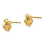 14k Mini Frog Post Earrings - Product Photo