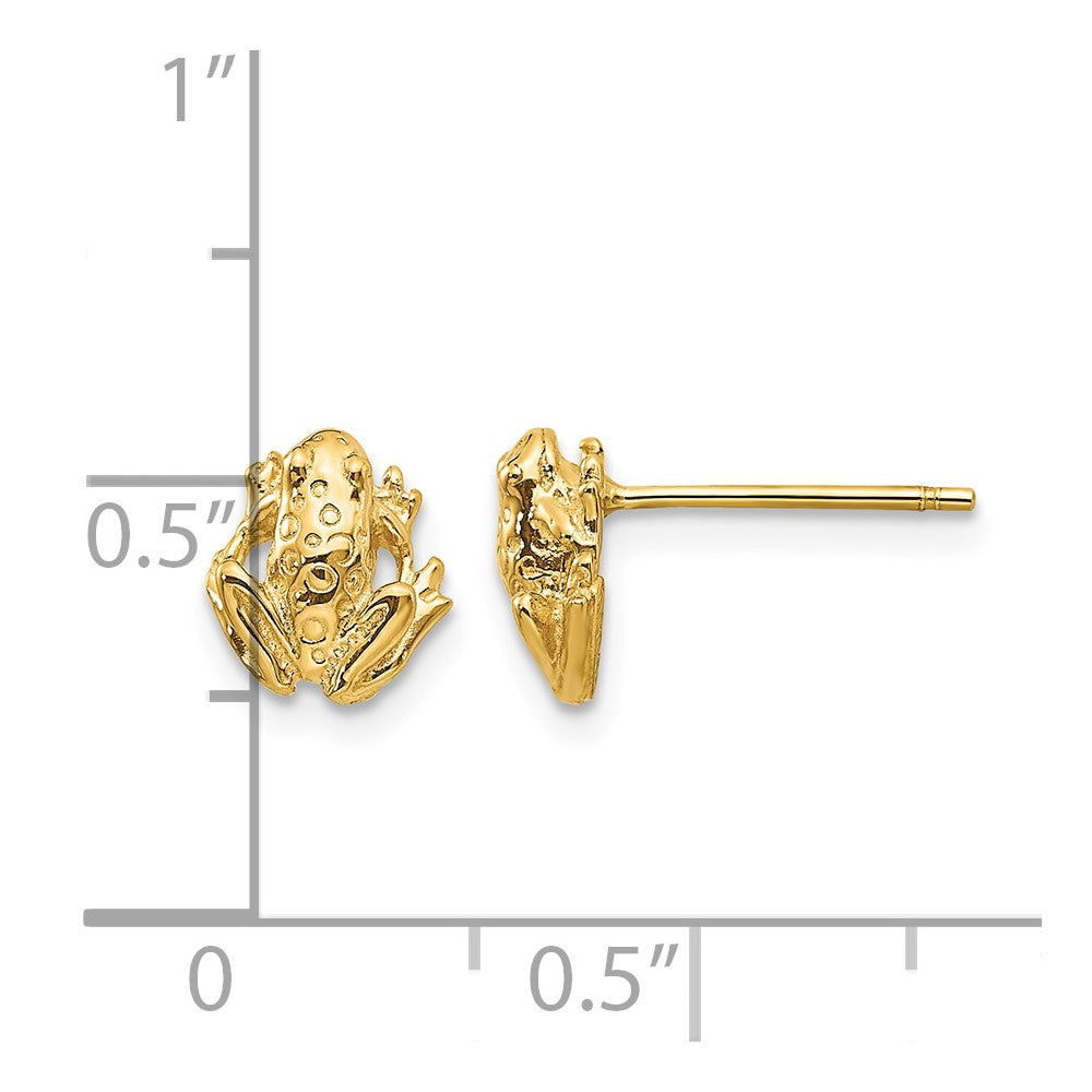 14k Mini Frog Post Earrings - Product Photo