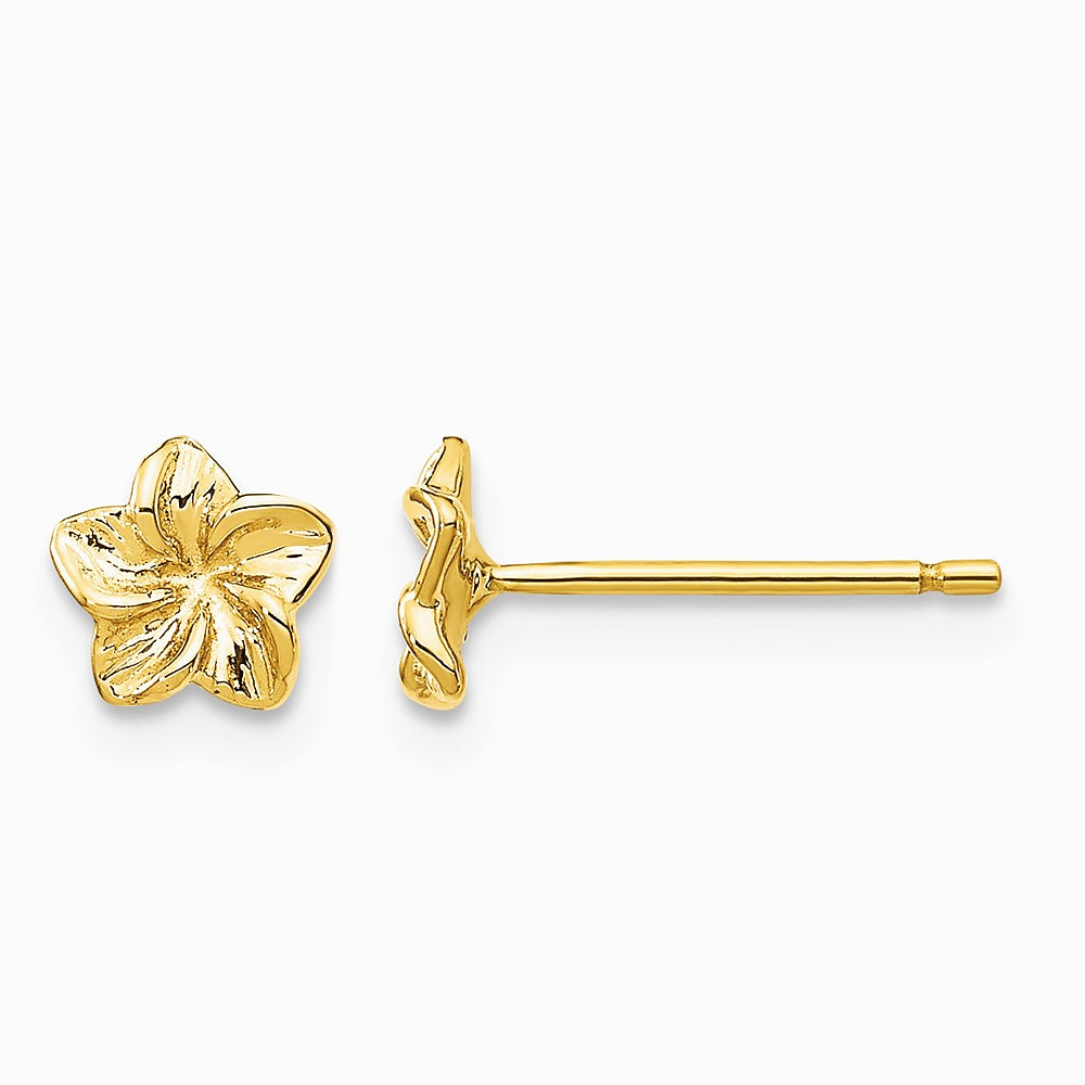 14K Yellow Gold Plumeria Flower Post Earrings
