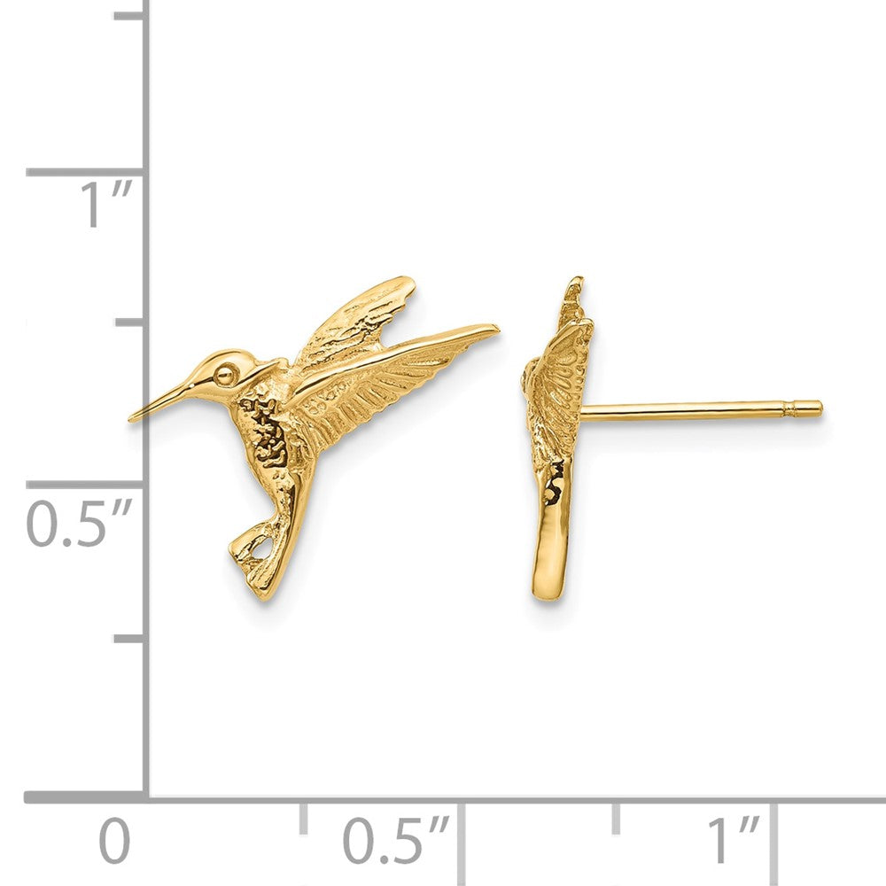 14k Hummingbird Post Earrings - Product Photo