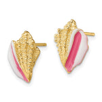 14K White and Pink Enamel Conch Shell Post Earrings - Product Photo