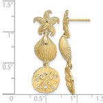 14K Starfish, Shell ,Sand Dollar Dangle Earrings - Product Photo