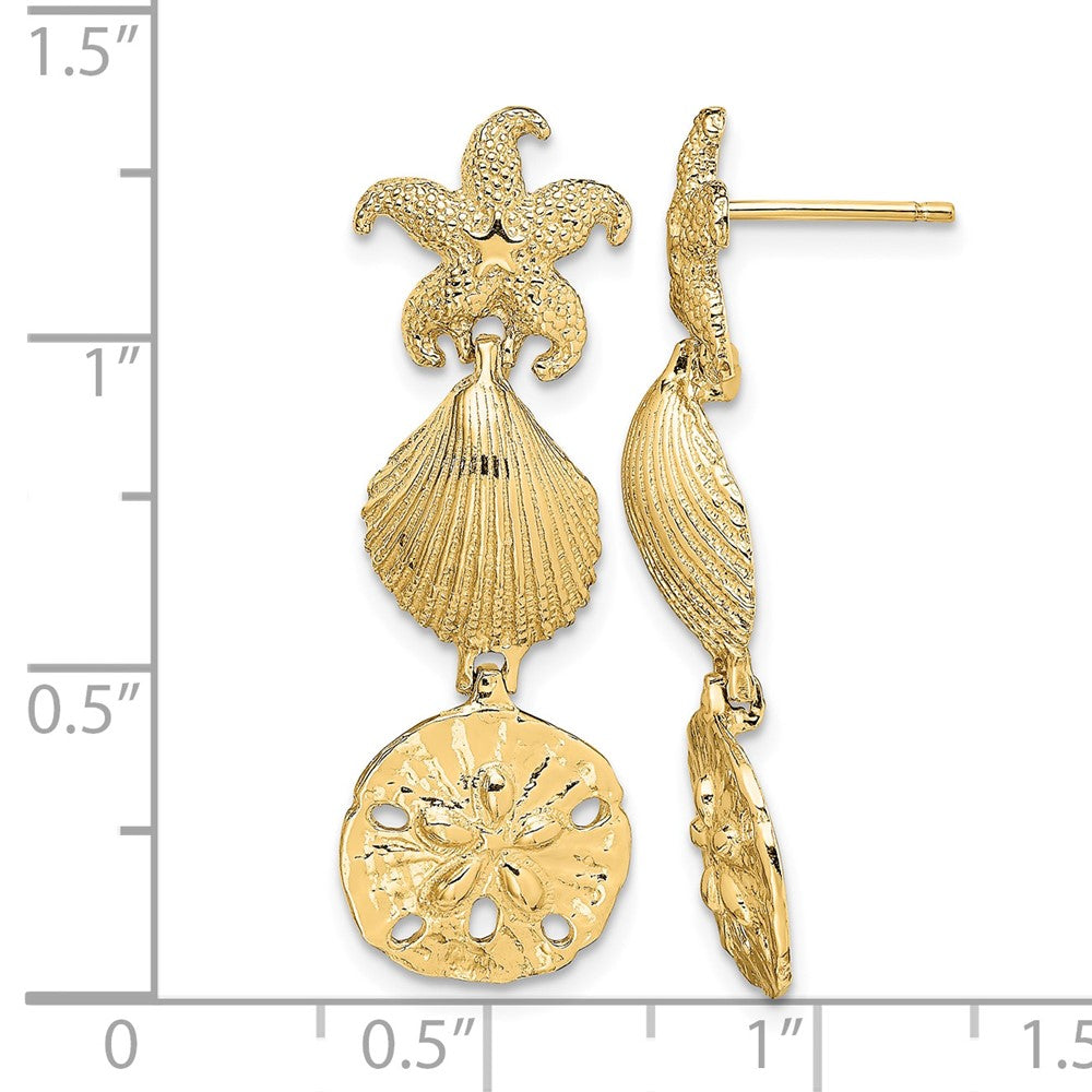 14K Starfish, Shell ,Sand Dollar Dangle Earrings - Product Photo