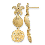 14K Starfish, Shell ,Sand Dollar Dangle Earrings - Product Photo