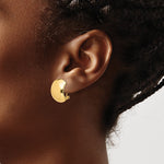 14K Polished Omega Back Earrings - Product Photo