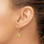 14K 2-D and Textured Scallop Shell Leverback Earrings - Product Photo