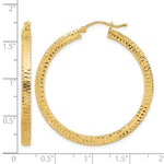 14K Polished & Hammered Hoop Earrings - Product Photo