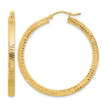 14K Polished & Hammered Hoop Earrings - Product Photo