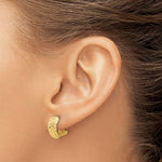 14K Polished and Diamond-cut Omega Back Earrings - Product Photo