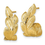 14k Brushed And Textured Leaf Post Earrings - Product Photo