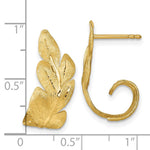 14k Brushed And Textured Leaf Post Earrings - Product Photo