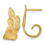 14k Brushed And Textured Leaf Post Earrings - Product Photo