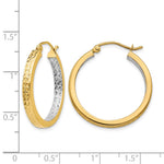 14k White Rhodium Light Square Diamond Cut Hoop Earrings - Product Photo