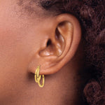 14K Yellow Gold Double Hoop Earrings - Product Photo