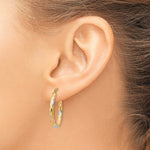 14K Yellow & Rhodium & White & Rose Rhodium Oval Hollow Scallop Hoop Earrings - Product Photo