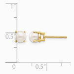 14K Yellow Gold 4.5mm Round June/Freshwater Cultured Pearl Post Earrings - Product Photo