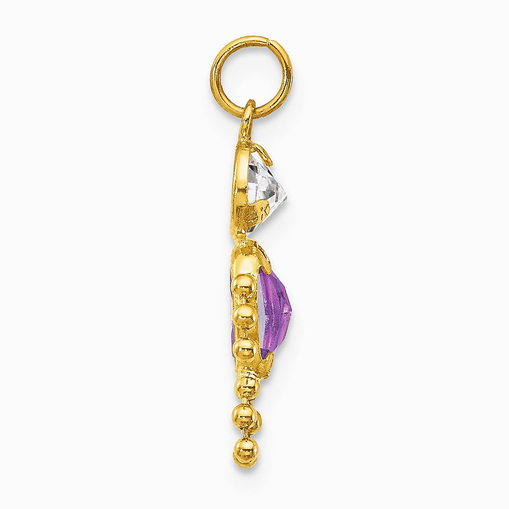 10K / 14K Yellow Gold February Boy Birthstone Charm - Product Photo