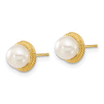 14k 5-6mm White Button FWC Pearl Earring and Pendant Set - Product Photo