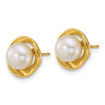 14k Polished 6-7mm Button Freshwater Cultured Pearl Post Earrings - Product Photo
