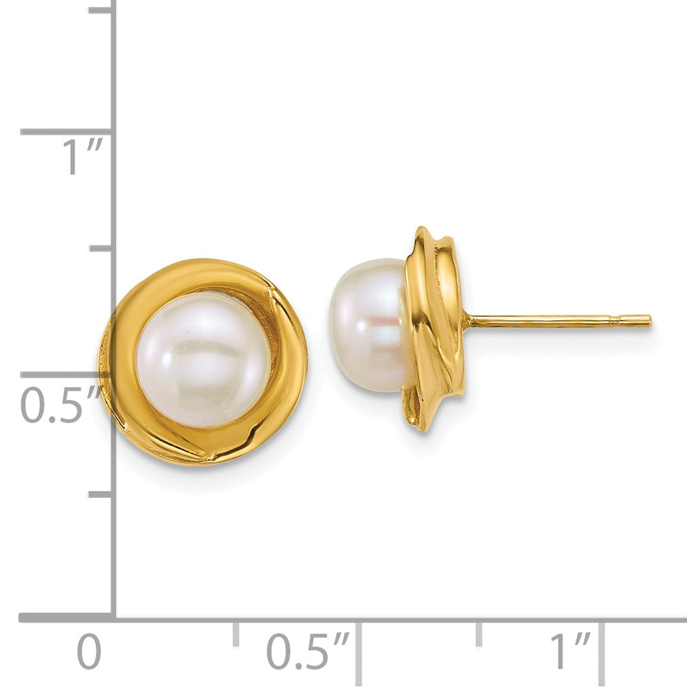 14k Polished 6-7mm Button Freshwater Cultured Pearl Post Earrings - Product Photo