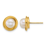 14k Polished 6-7mm Button Freshwater Cultured Pearl Post Earrings - Product Photo