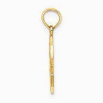 10K / 14K Yellow Gold Medical Jewelry Symbol Pendant - Product Photo