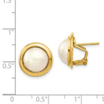 14k 10-11mm White Freshwater Cultured Mabe Pearl Omega Back Earrings - Product Photo