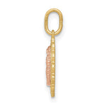 14k Two-tone Guadalupe Pendant - Product Photo