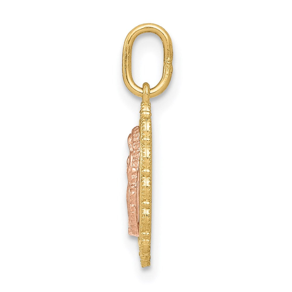 14k Two-tone Guadalupe Pendant - Product Photo