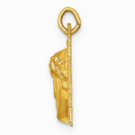 14K Yellow Gold Hollow Polished/Satin Small Jesus Cross Medal - Product Photo