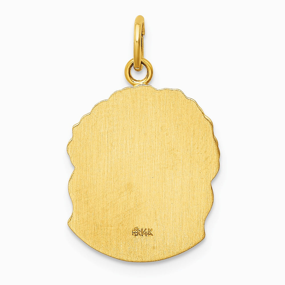 14K Yellow Gold Hollow Polished/Satin Medium Jesus Medal - Product Photo