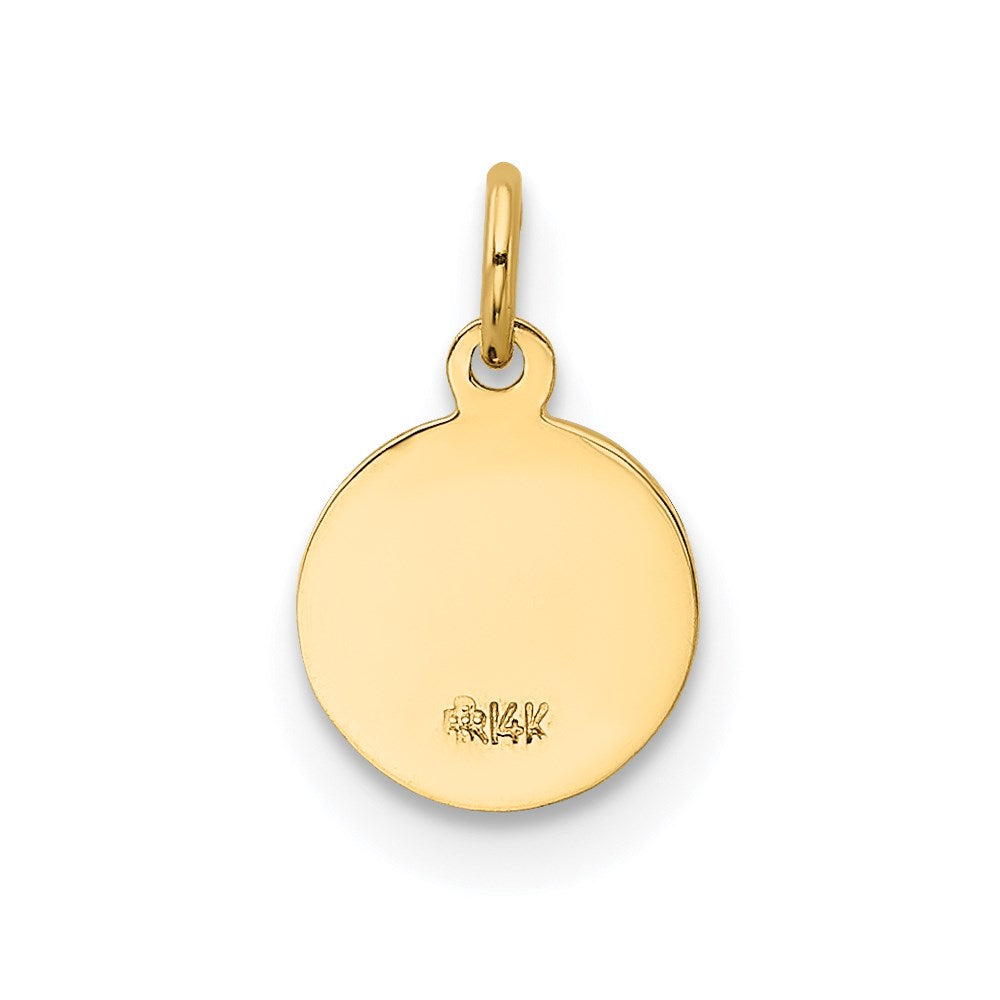 14k Saint Christopher Medal Charm - Product Photo