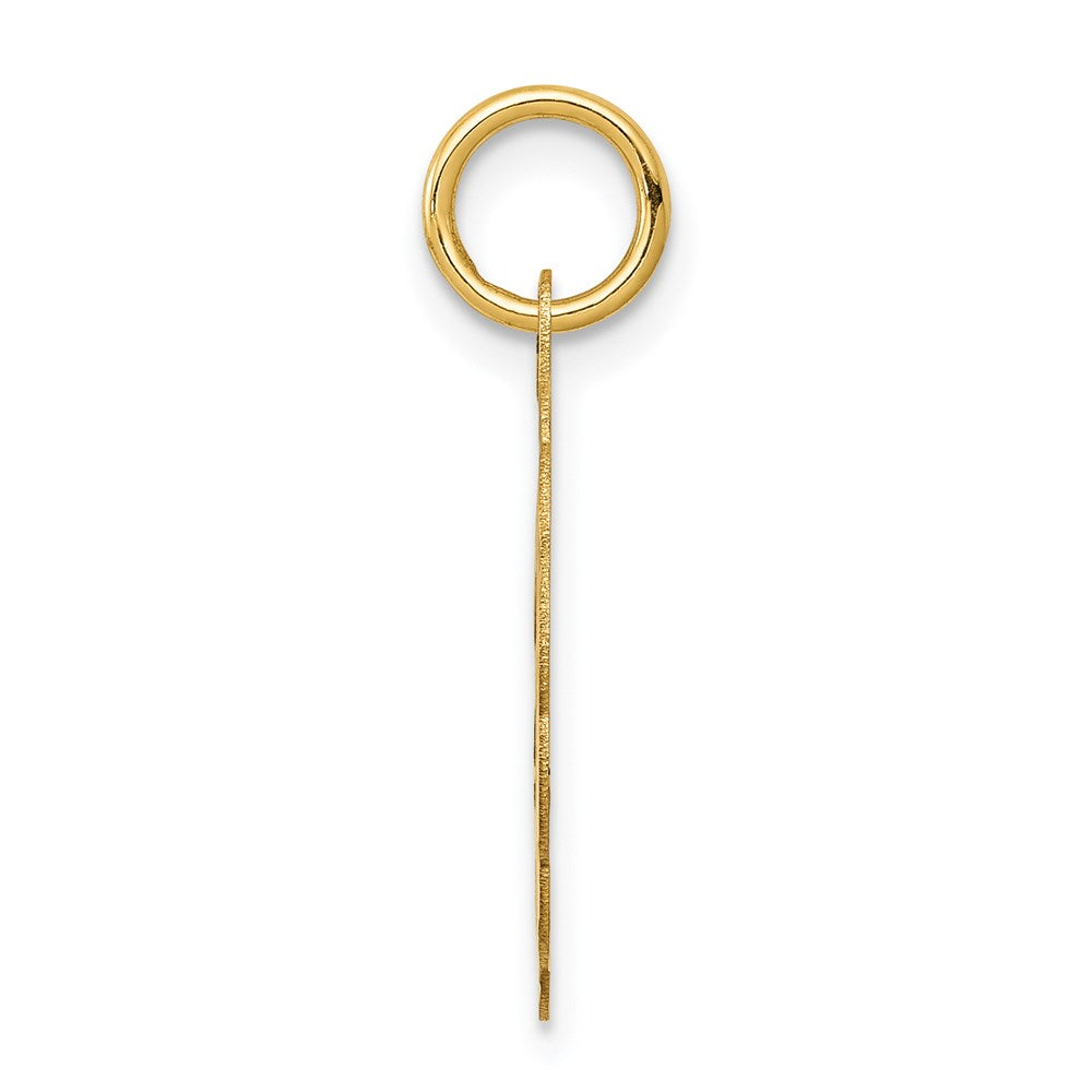 14k Solid Star of David Disc Charm - Product Photo