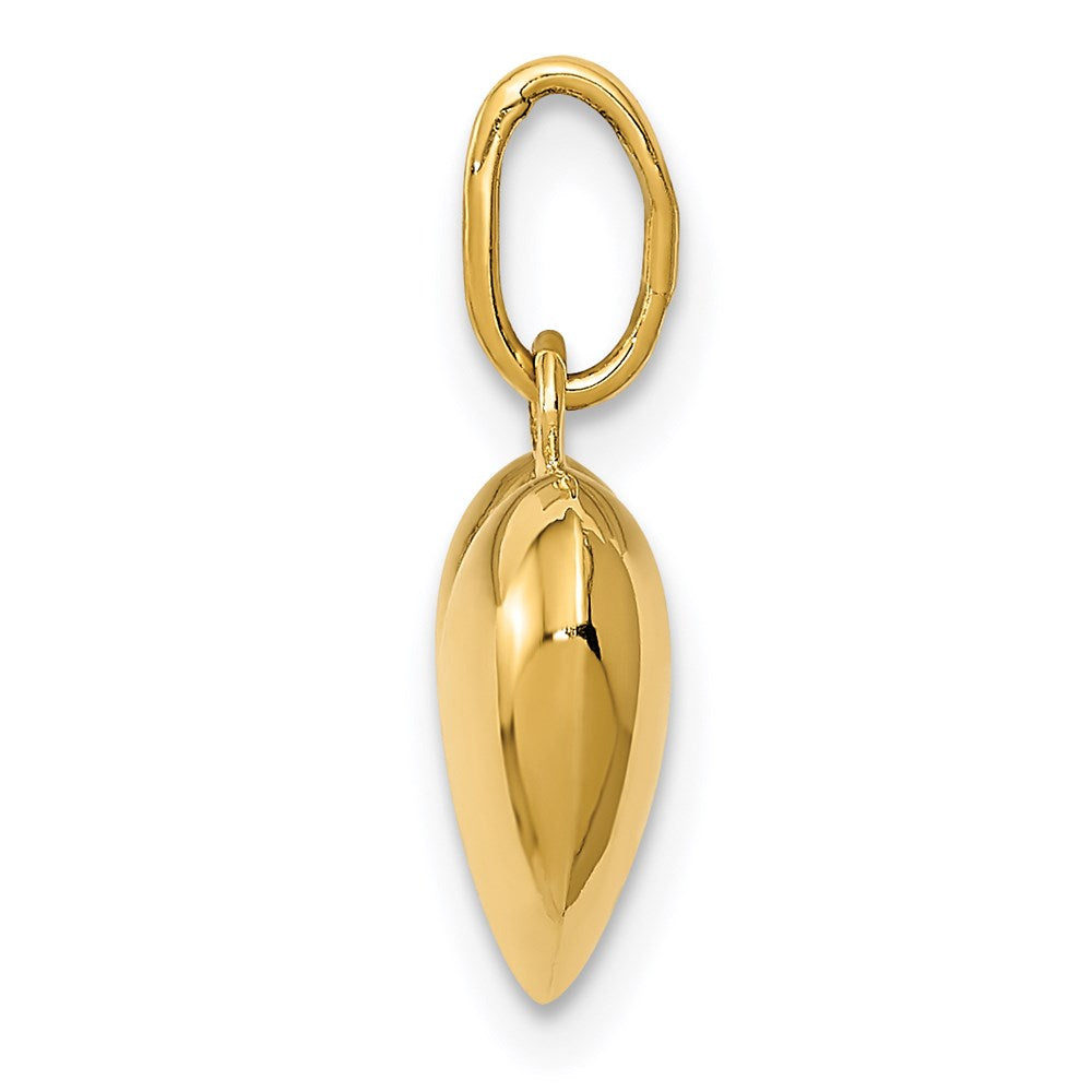 14K Polished 3-D Puffed Heart Charm - Product Photo